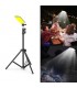 Led Camping Lights Portable Telescopic Pole DC12V